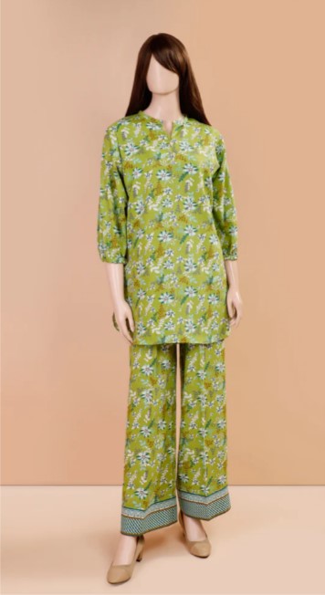 Printed Khaddar 2 Piece (Shirt/Trouser) - CW 0013